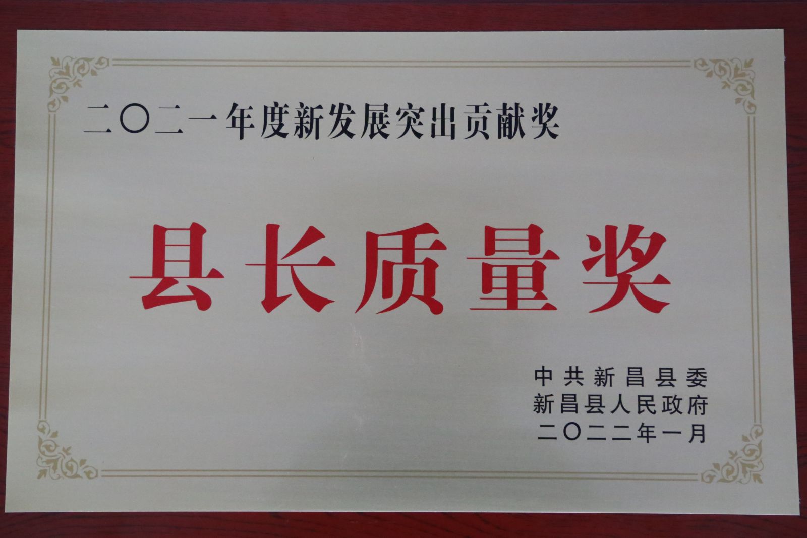 九州酷游(ku游娱乐)官方网站